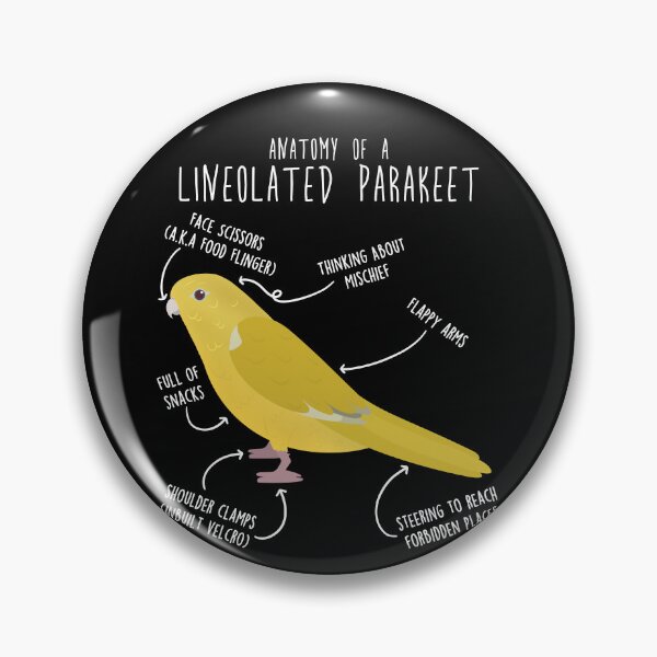 Item preview, Lutino Lineolated Parakeet Parrot Anatomy designed and sold by Clara Hollins.
