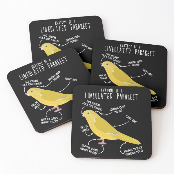 Item preview, Lutino Lineolated Parakeet Parrot Anatomy designed and sold by Clara Hollins.