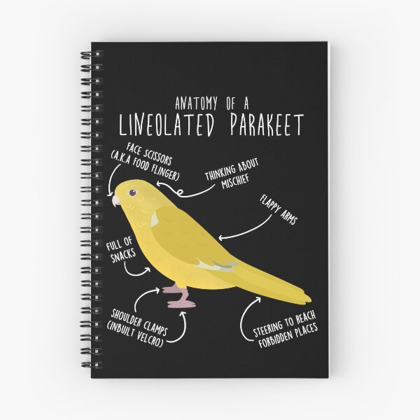 Item preview, Lutino Lineolated Parakeet Parrot Anatomy designed and sold by Clara Hollins.