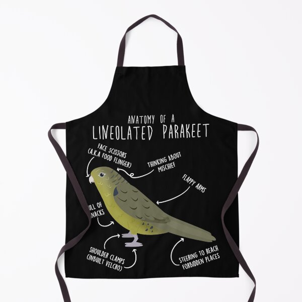 Item preview, Olive Lineolated Parakeet Parrot Anatomy designed and sold by Clara Hollins.