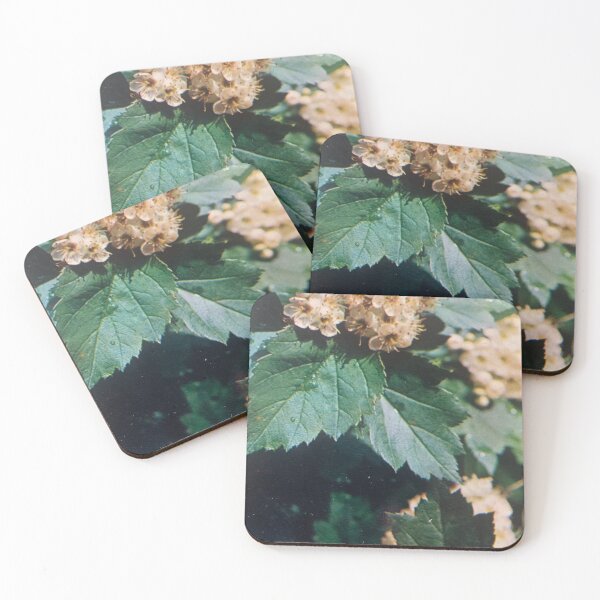 Item preview, Rosaceae style. designed and sold by Valgasnews011.
