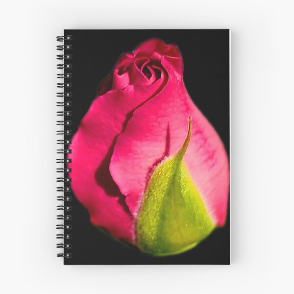 Item preview, Rosebud  designed and sold by AmandaFaye99.