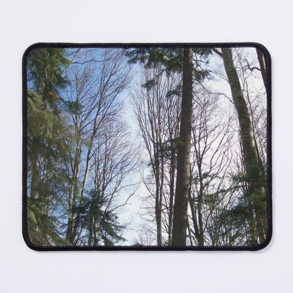 Item preview, Forest Of Tall Trees designed and sold by Alex Roman.