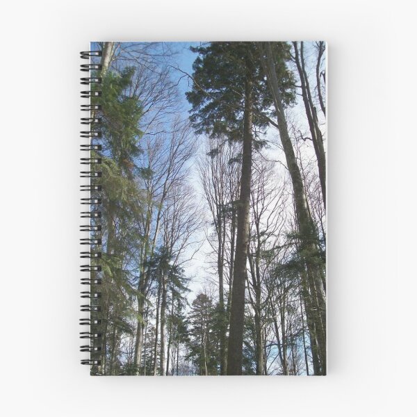Item preview, Forest Of Tall Trees designed and sold by Alex Roman.