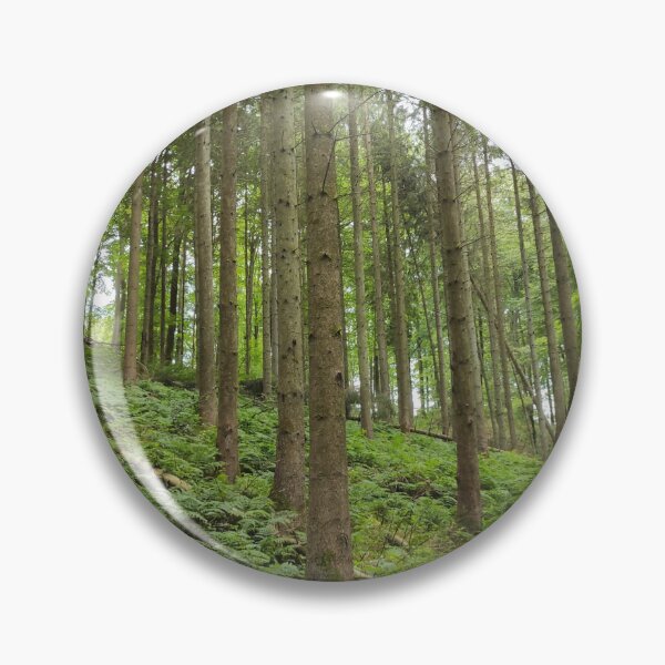 Item preview, Tall Straight Trees In Denmark Forest designed and sold by Alex Roman.