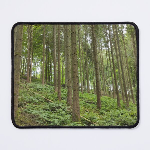 Item preview, Tall Straight Trees In Denmark Forest designed and sold by Alex Roman.