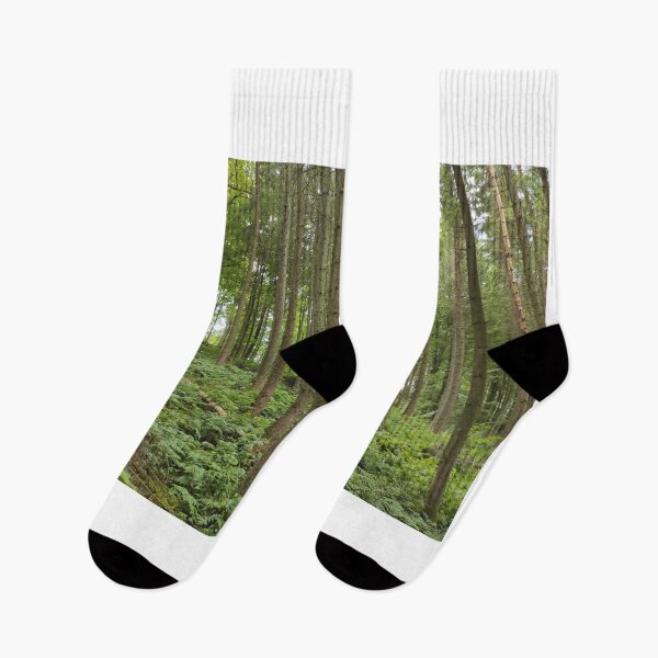 Item preview, Tall Straight Trees In Denmark Forest designed and sold by Alex Roman.