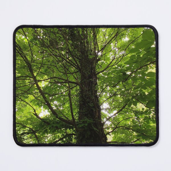 Item preview, Large Tree Crown (View From Underneath)  designed and sold by Alex Roman.