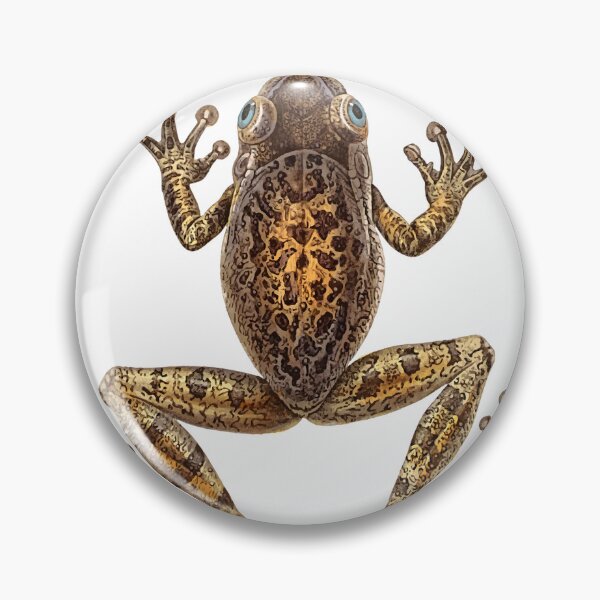 Item preview, Vintage Frog designed and sold by BlueSpecsStudio.