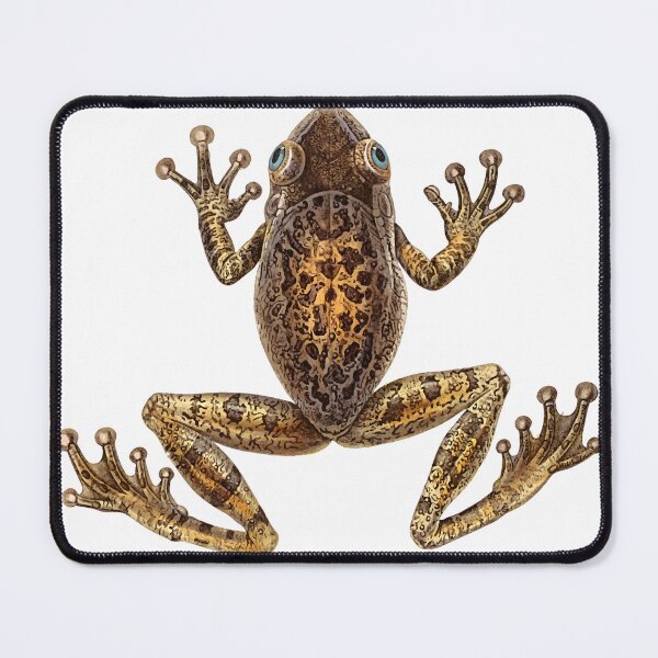 Item preview, Vintage Frog designed and sold by BlueSpecsStudio.