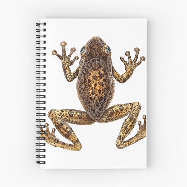 Item preview, Vintage Frog designed and sold by BlueSpecsStudio.