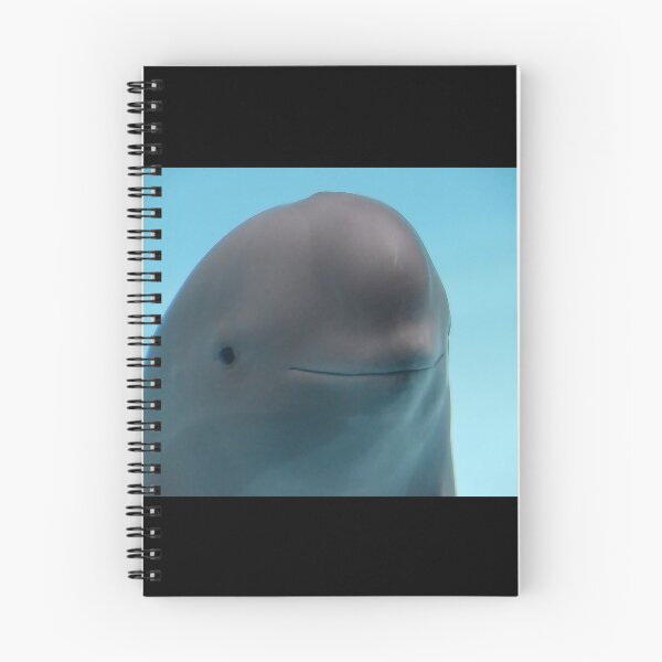Item preview, Miharu The Smiling Dolphin designed and sold by rachimariposa.