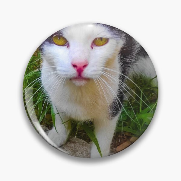 Item preview, Curious Black And White Cat designed and sold by Alex Roman.
