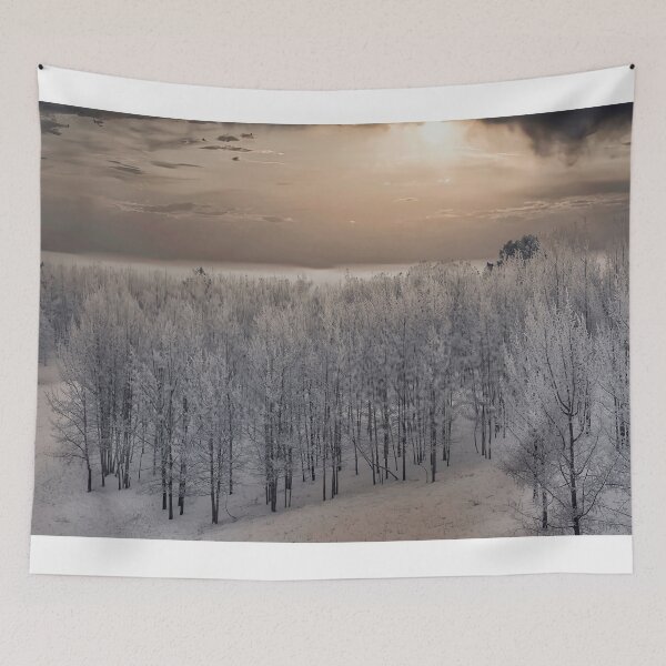 Item preview, Yukon Frost: A Winter's Veil designed and sold by DiegoBenKar.