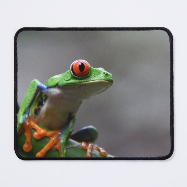 Item preview, Rainforest designed and sold by NanaPhoto07.
