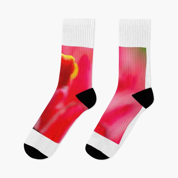 Item preview, Colors of nature designed and sold by DiegoBenKar.