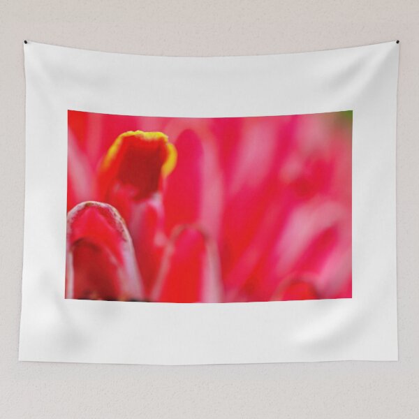 Item preview, Colors of nature designed and sold by DiegoBenKar.
