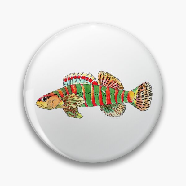 Item preview, The Christmas Darter designed and sold by Field Notes Illustrated.