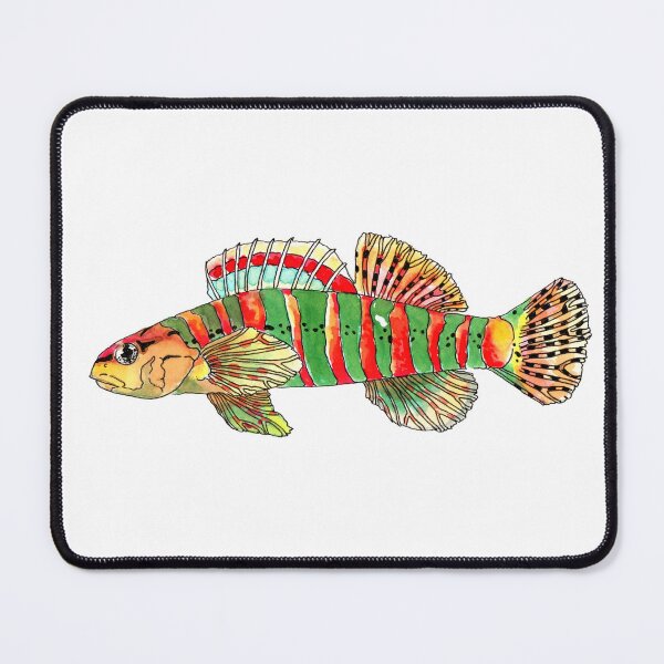 Item preview, The Christmas Darter designed and sold by Field Notes Illustrated.