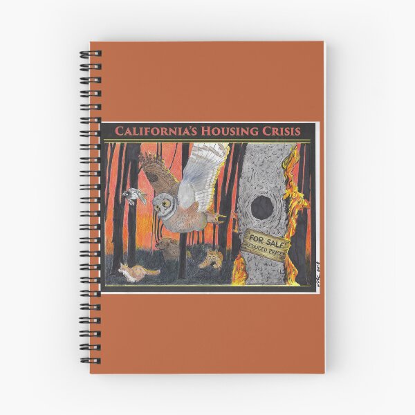 Item preview, California's Housing Crisis designed and sold by RuthyBallard.