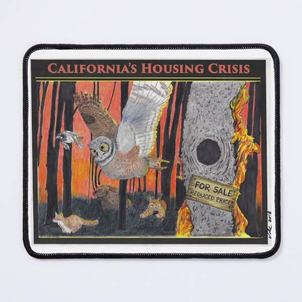 Item preview, California's Housing Crisis designed and sold by RuthyBallard.