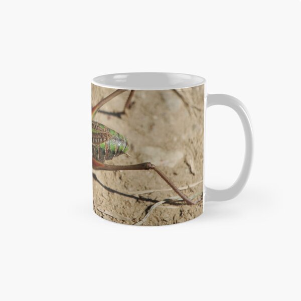 Item preview, Cricket being a cricket designed and sold by Twigsnb.