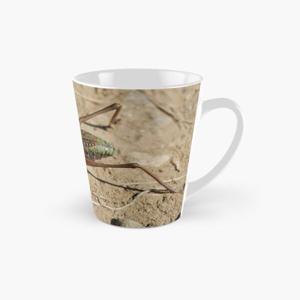 Item preview, Cricket being a cricket designed and sold by Twigsnb.