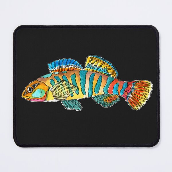 Item preview, Rainbow Darter designed and sold by LittleClayFrog.