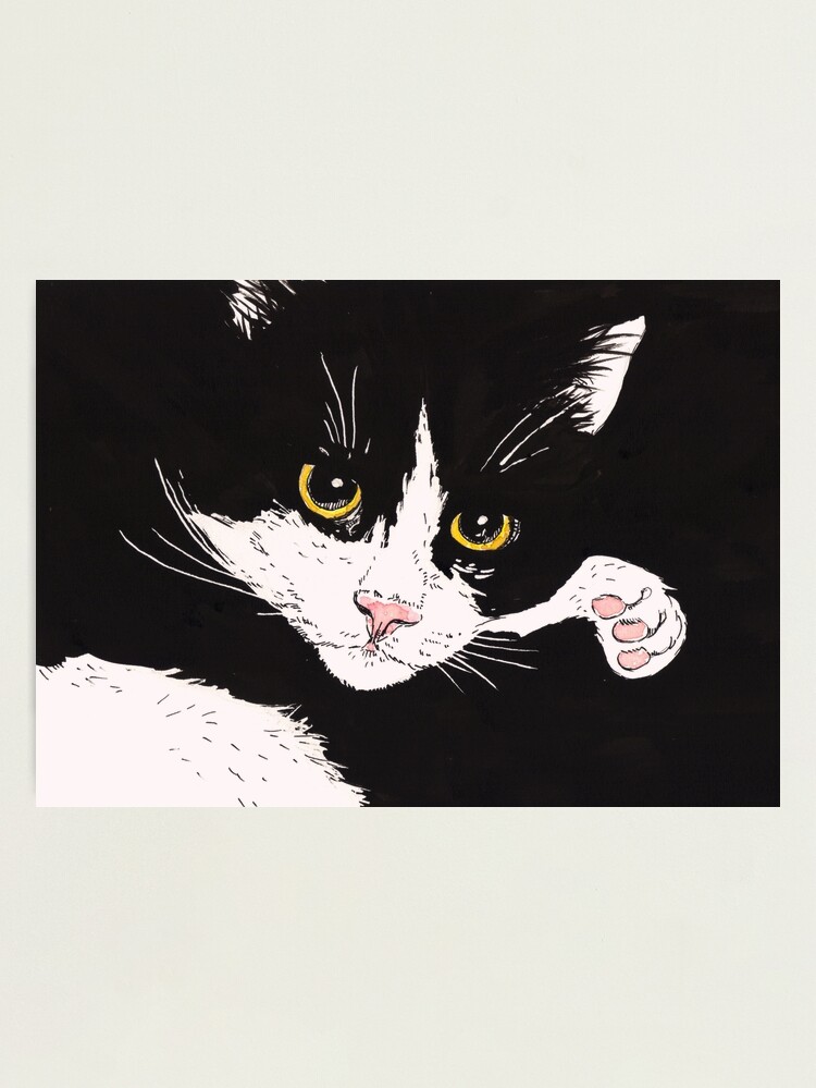 Cat PFP Photographic Print for Sale by Ketrinartistka