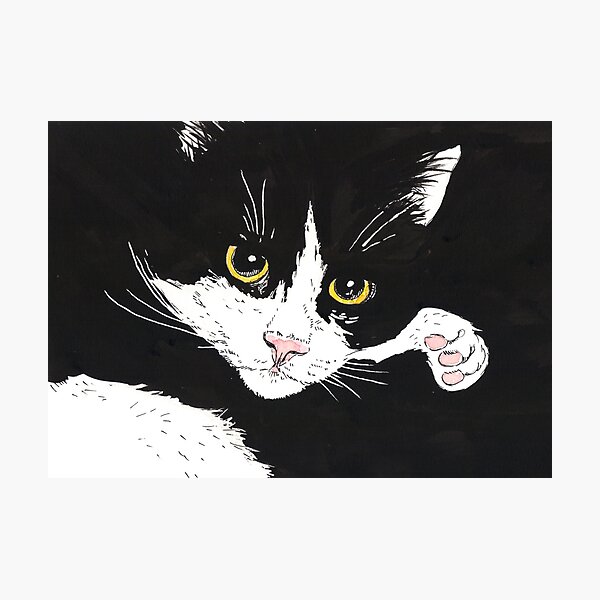 Item preview, Tuxedo cat designed and sold by Katerina Mitkova Kirilova.