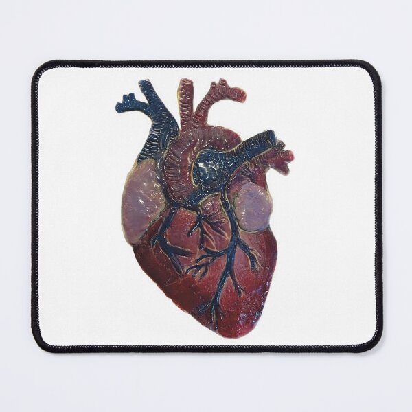 Item preview, Anatomical Heart designed and sold by asiddesign.