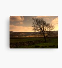 Moorland Canvas Print