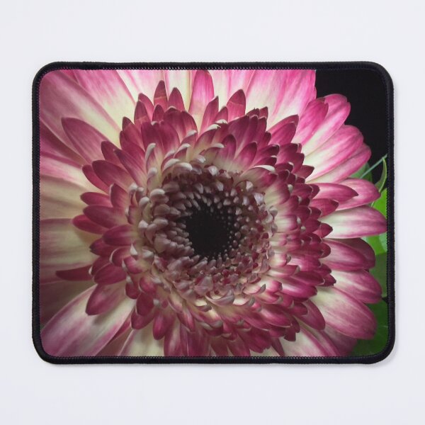 Item preview, Lending a Pink and White designed and sold by Betsy Phillips.