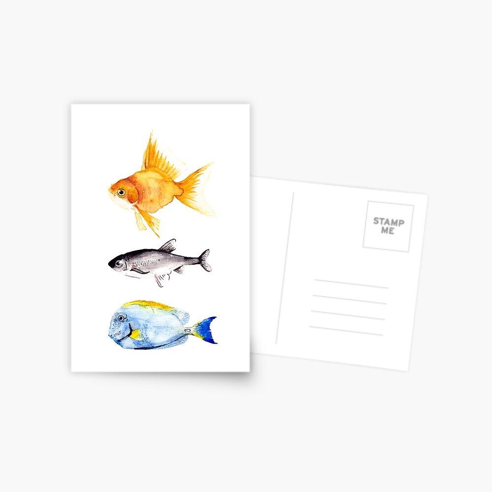 Triple Fish Colourful Watercolour  Greeting Card for Sale by  madirosedesigns