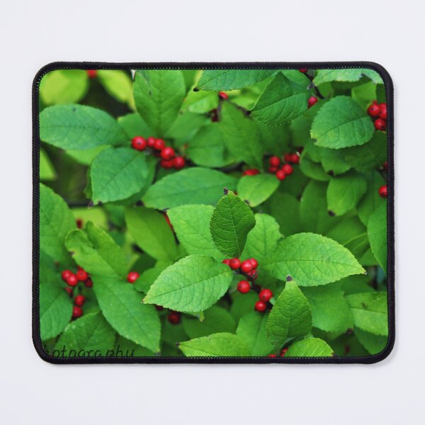 Item preview, Holly Berry tree designed and sold by InezPhotography.