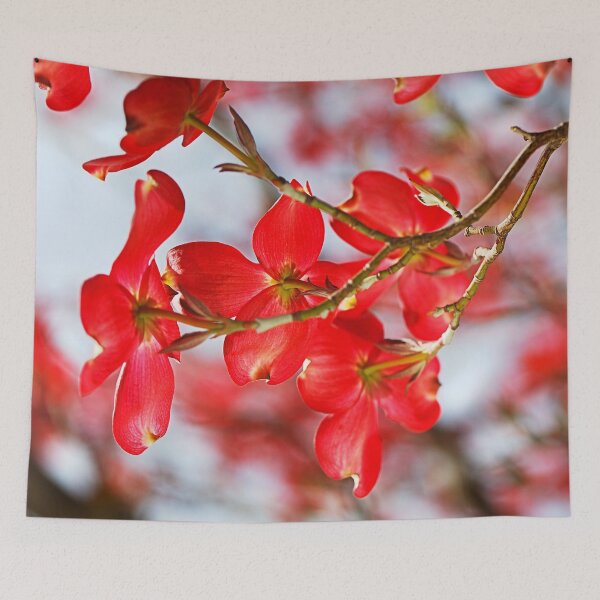Item preview, Dogwood Flowers Bloom The Sun designed and sold by Joy Watson - Natural Light Photography .