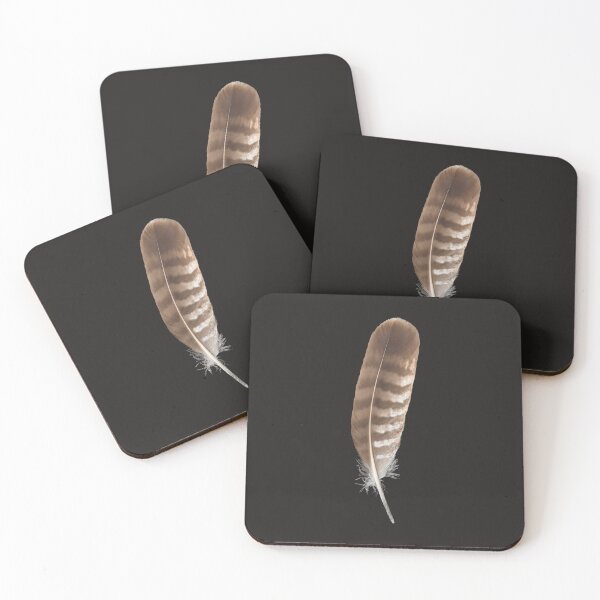 Item preview, Bird of prey feather designed and sold by StohlerPhotos.