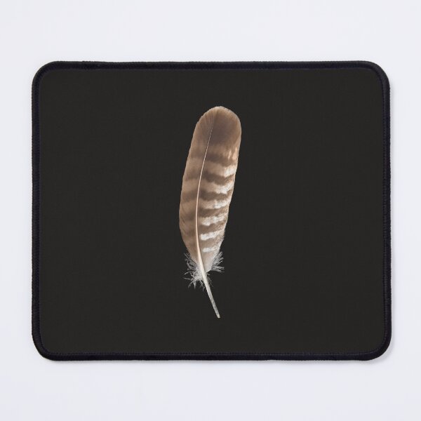 Item preview, Bird of prey feather designed and sold by StohlerPhotos.