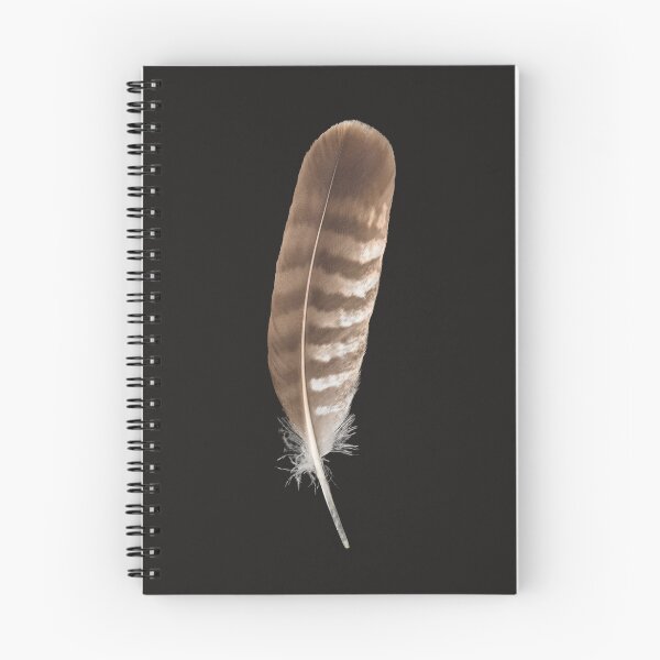 Item preview, Bird of prey feather designed and sold by StohlerPhotos.