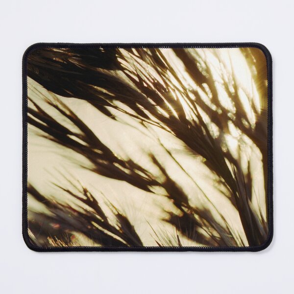 Item preview, Reed in warm sunlight designed and sold by FotoMahieu.