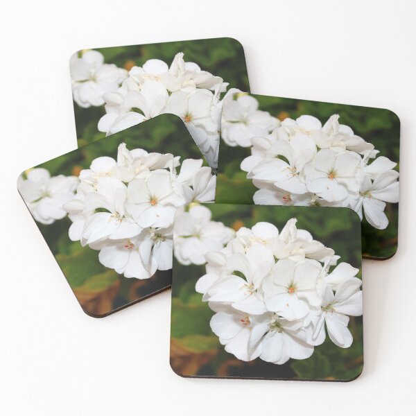Item preview, White blossoms cluster together against a backdrop of dark green foliage designed and sold by InezPhotography.