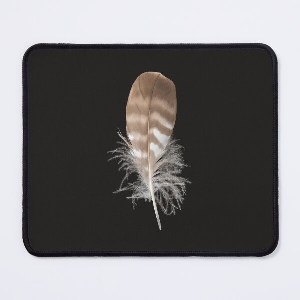 Item preview, Bird feather designed and sold by StohlerPhotos.