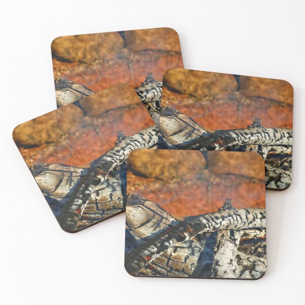 Item preview, Charred logs lie on a bed of ash designed and sold by InezPhotography.