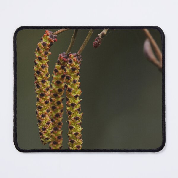 Item preview, Lady of the Forest Donegal Vertical designed and sold by eddiebarronshop.
