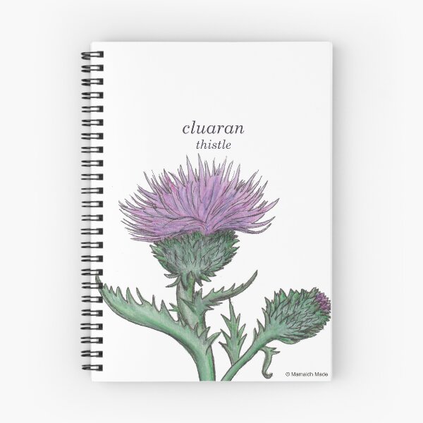 Item preview, cluaran/ thistle (Scottish Gaelic translation) Vintage inspired hand painted botanical painting designed and sold by Mamaidh Made.