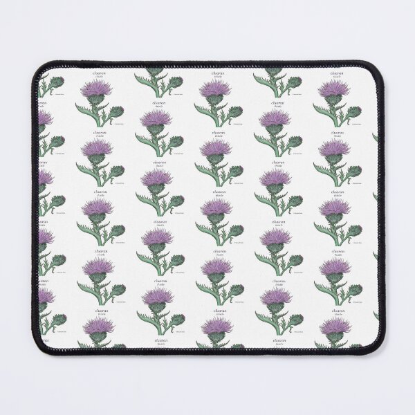 Item preview, cluaran/ thistle (Scottish Gaelic translation) Vintage inspired hand painted botanical painting designed and sold by Mamaidh Made.