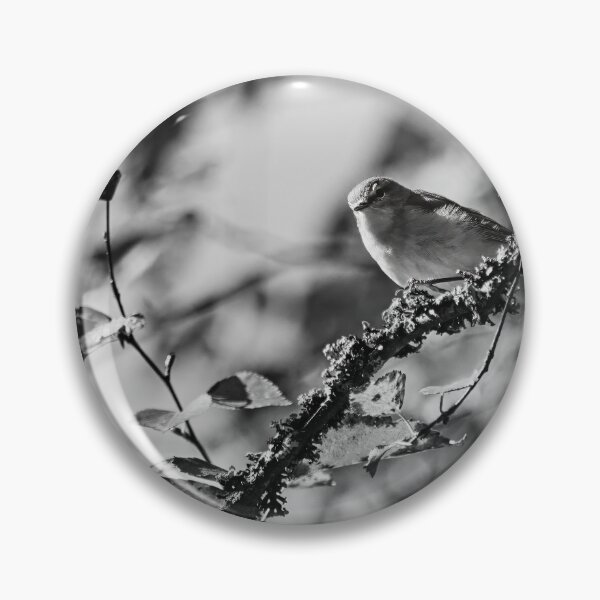 Item preview, Too hungry for chiff or chaff. Chiffchaff bw designed and sold by Jouko Lehto Photography.