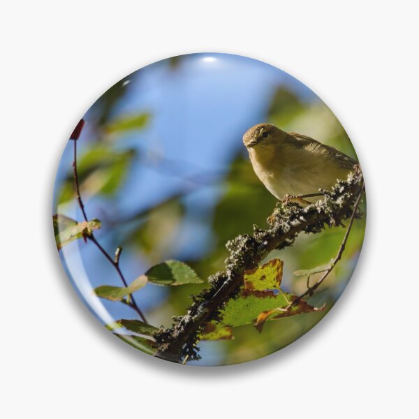 Item preview, Too hungry for chiff or chaff. Chiffchaff designed and sold by Jouko Lehto Photography.