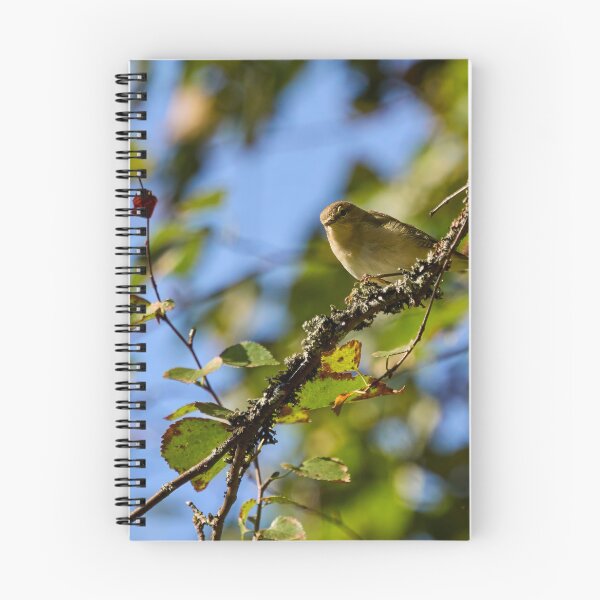 Item preview, Too hungry for chiff or chaff. Chiffchaff designed and sold by Jouko Lehto Photography.