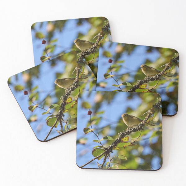 Item preview, Too hungry for chiff or chaff. Chiffchaff designed and sold by Jouko Lehto Photography.
